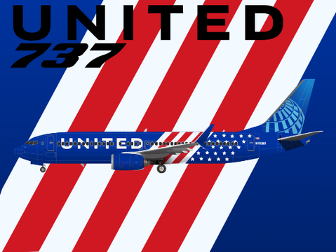 United Stars & Stripes 737