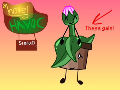 Potted plant for HH!