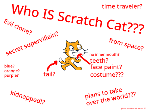 who IS scratch cat?