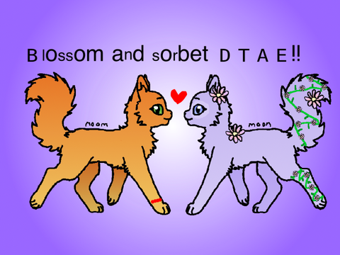 Bʟᴏssᴇᴍ ᴀɴᴅ sᴏʀʙᴇᴛ DTAE