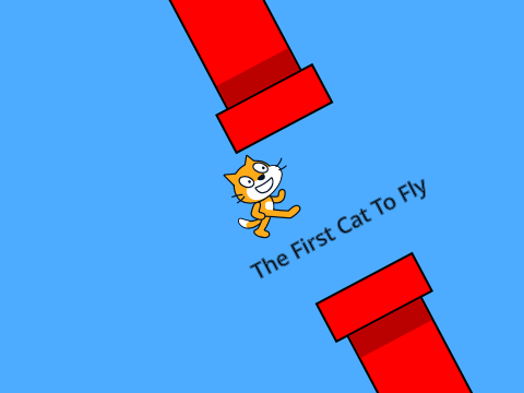 The First Cat To Fly