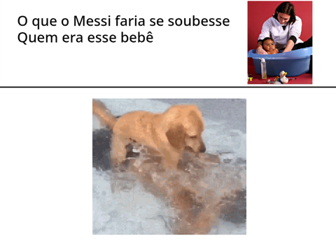 Só verdades
