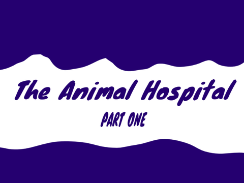 The Animal Hospital - Part One