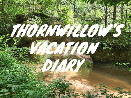 My Vacation Diary!!!