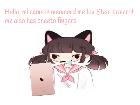 LOLL XDDD