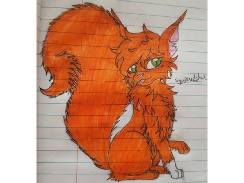 Squirrelstar!