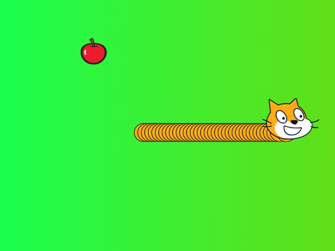 snak but cat