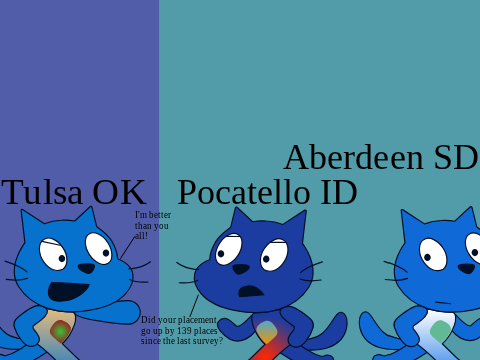 2022 New American City Flags Survey Part 1 and 2 but Scratch Cats