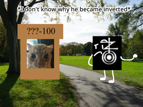 inverted zoozve cube