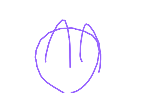 国描きまっす