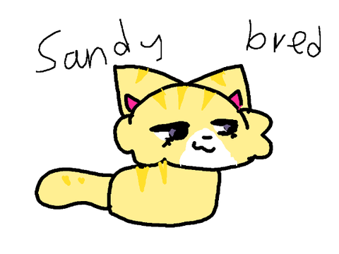 sandy bred