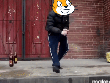 Russian Hardbass - Crazy Dance meme
