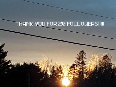 20 followers Thank you!