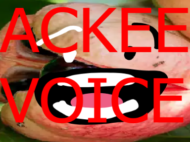 Ackee voice