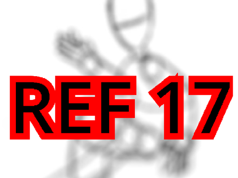 REF 17