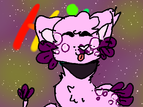 random animation
