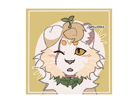 cute cat