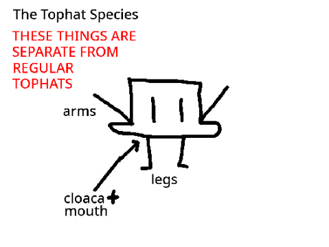 Tophat Anatomy