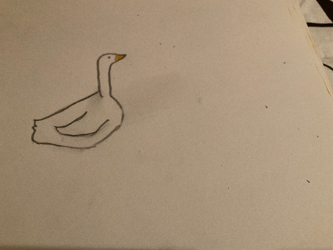 Duck Drawing Contest entry