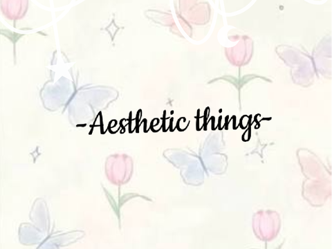  ⊹ . ݁ ⟡ ݁  ݁Aesthetic things ݁ ⟡ ݁ . ⊹ 
