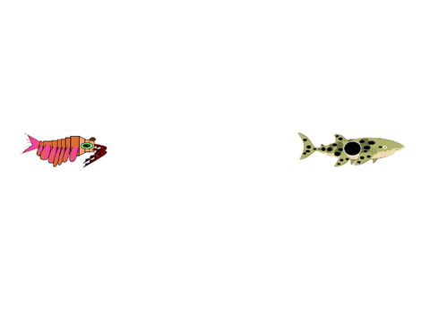 Anomalocaris and Walking Shark Vectors