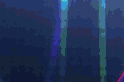 ✮⋆˙