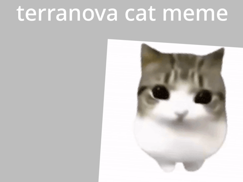 terranova meme