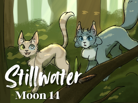 Moon 14 | Stillwater