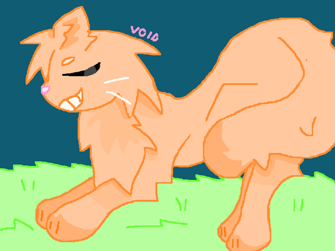 100 follower contest entry