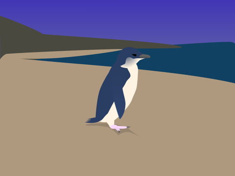 Little Blue Penguin Vector