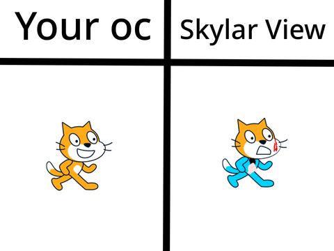Add your oc so I can make in the Skylar View incident 