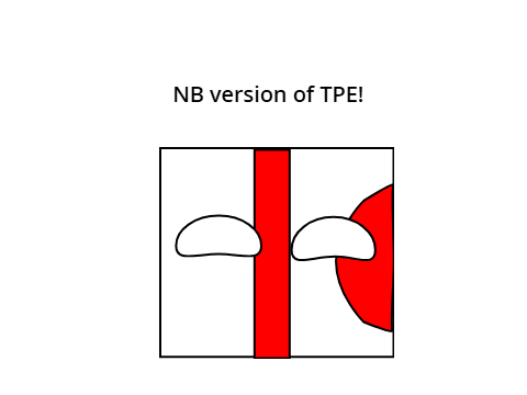 NB version of TPE!