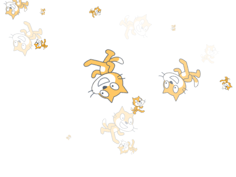 fluctuation