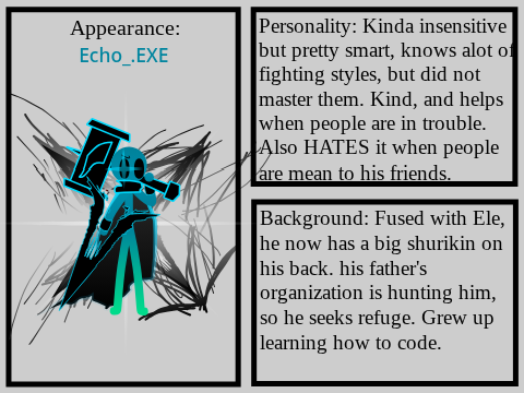 The Infected Series Audition (Echo.EXE)