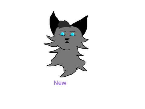 Please rate this vs that