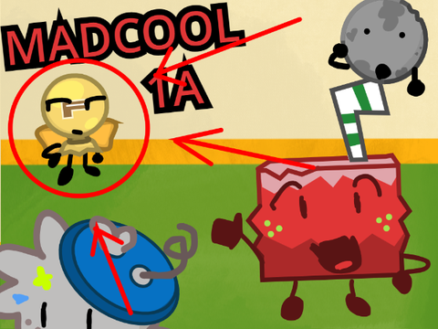 MADCOOL 1A “Sunny Slide Up!"