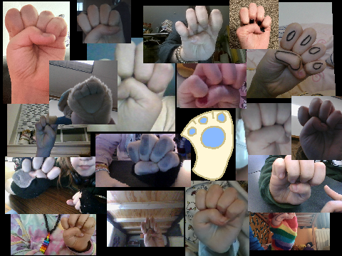 ADD YOUR PAW TO STOP FURRY AND ALTERHUMAN HATE!