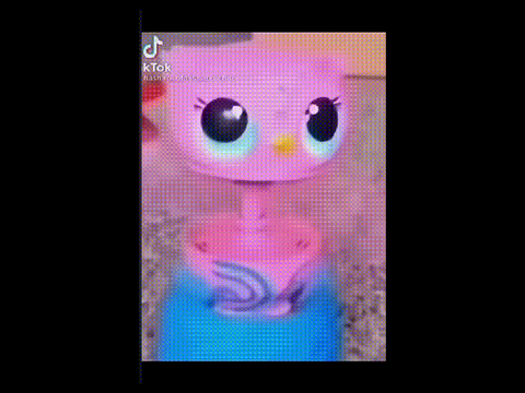 RANDOM MEMZ 
