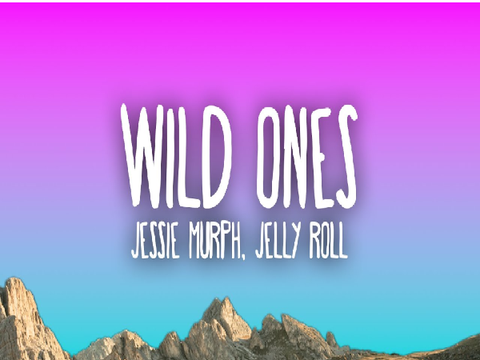 FIXED! wild ones~jelly roll & jessie murph