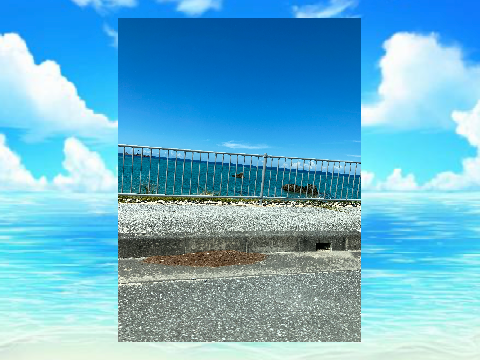 [高頻度更新]沖縄旅行log