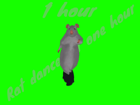 Rat dance for one hour