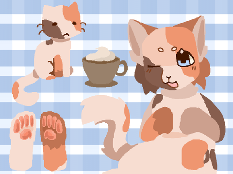 calico cat