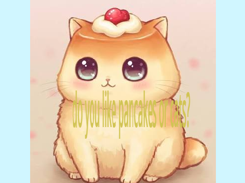 Cat or pancakes!
