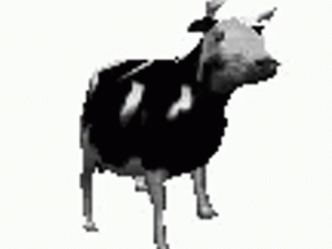 Polish cow and the Mongolian throat singer