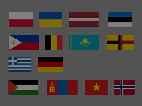 flag band but wait what