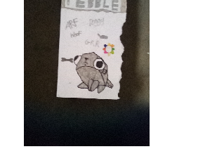 Pebble drawing