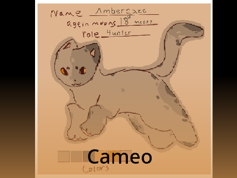 Cameo entryy  