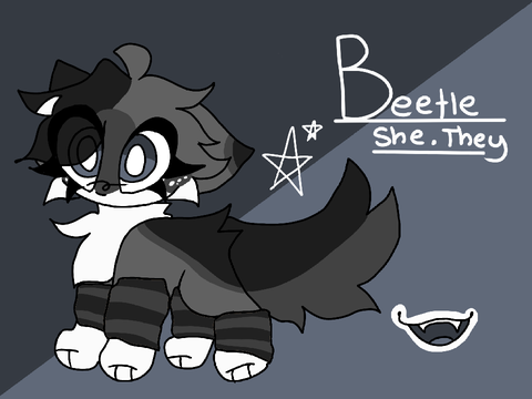Beetle ref !!
