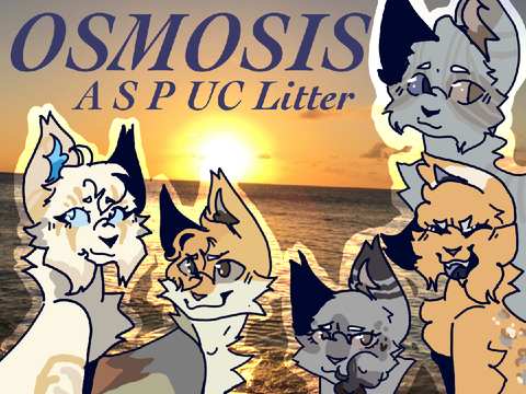  ₊˚.༄ ೃ Osmosis ~ A S Parented UC litter ₊˚.༄ ೃ   [WIP]