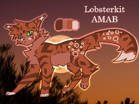 *+* A cove appears.*+* A lobsterkit application! 